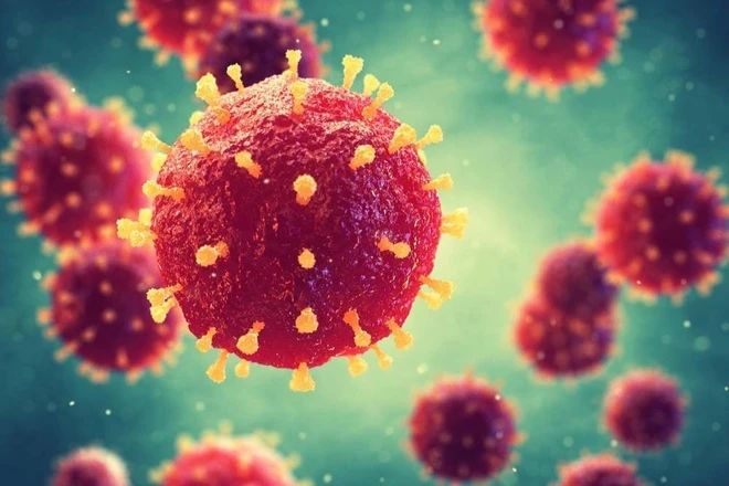 CHỦ ĐỘNG PHÒNG, CHỐNG DỊCH BỆNH NIPAH – BẢO VỆ SỨC KHỎE CỘNG ĐỒNG